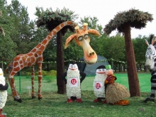 Композицию «Мадагаскар» признали лучшей на Фестивале цветов в Набережных Челнах.